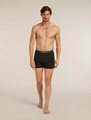 Icebreaker 150 Anatomica Boxers