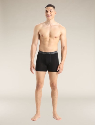 Icebreaker 150 Anatomica Boxers-mens-Sparrows