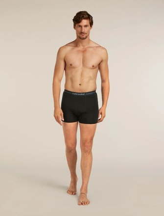 Icebreaker 150 Anatomica Boxers-mens-Sparrows