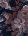 Rembrandt Sinatra Rose Print Shirt