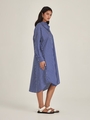 Sills+Co Jules Stripe Shirt Dress