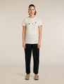 Icebreaker 150 Tech Lite SS Tee Bird Transit