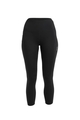 Icebreaker Fastray High Rise Tight